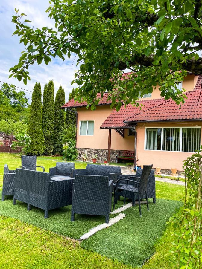 Vila Lilica Бран Екстериор снимка