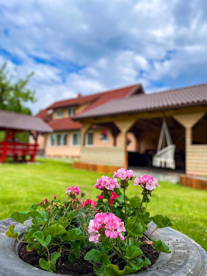 Vila Lilica Бран Екстериор снимка